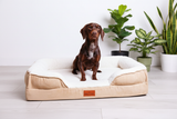 The Belgravia Orthopaedic Dog Sofa™ - Medium