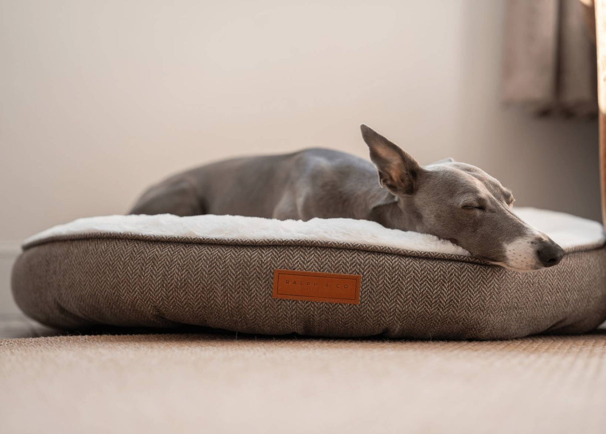 THE LINCOLN  | LUXURY DONUT BED